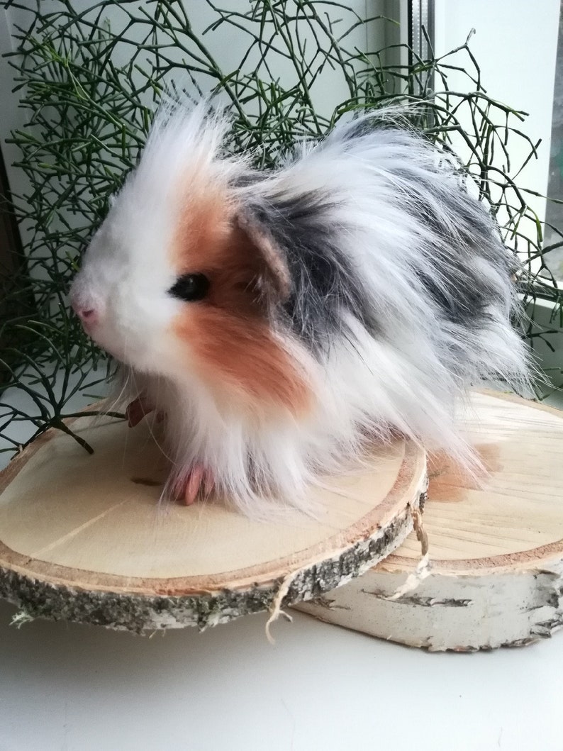 Stuffed animal PDF Pattern guinea pig cavy DIY sewing PDF Etsy