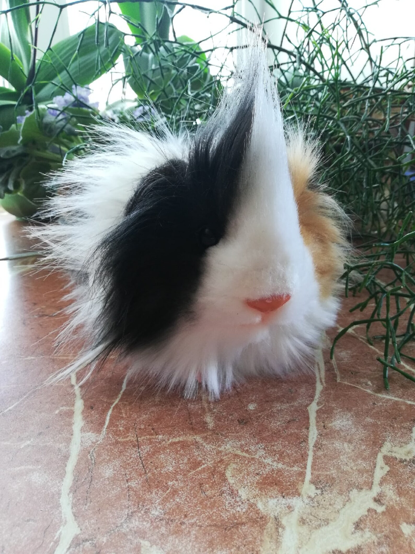 Realistic soft toy the guinea pig for order stuffed Etsy