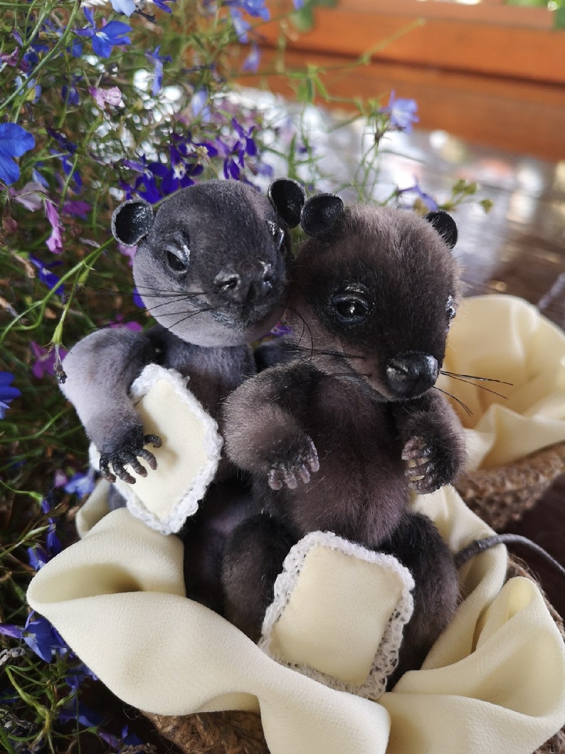 teddy mouse