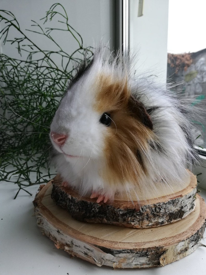 Realistic soft toy the guinea pig stuffed animal toy cavy | Etsy