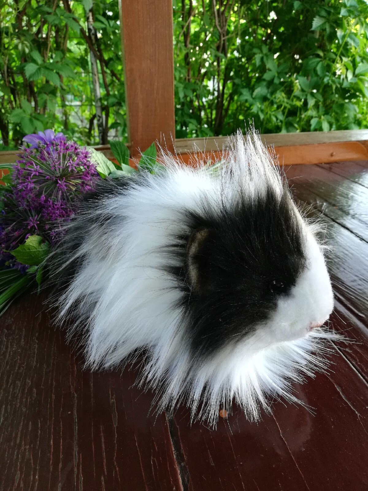 Stuffed animal PDF Pattern guinea pig cavy DIY sewing PDF Etsy