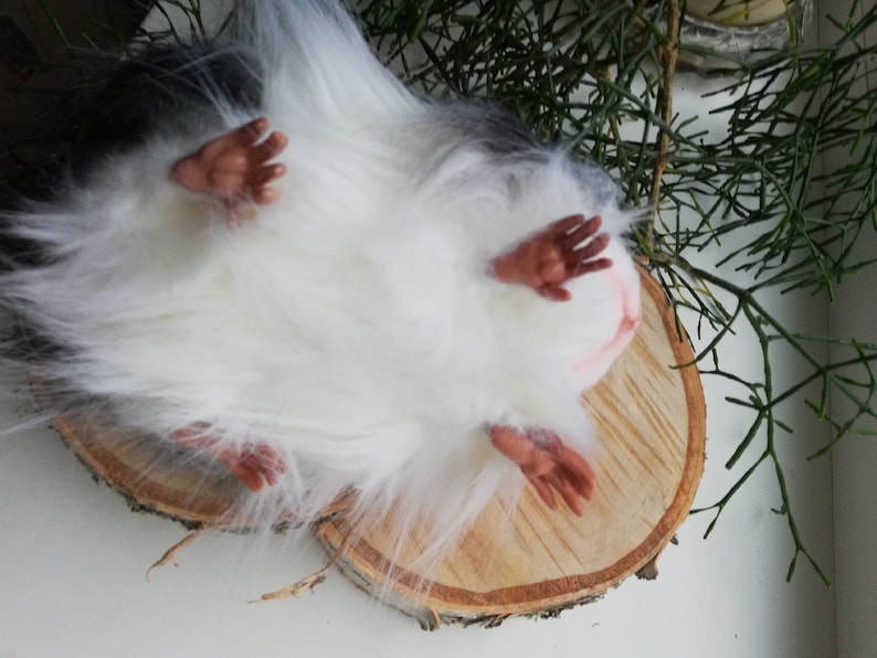 Stuffed animal PDF Pattern guinea pig cavy DIY sewing PDF Etsy