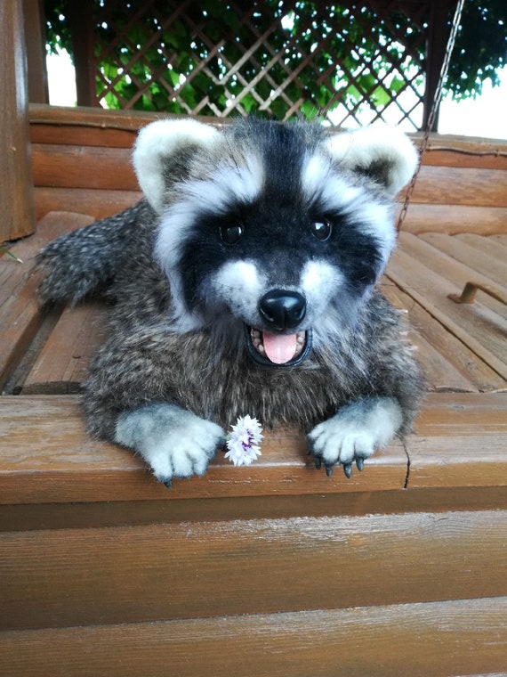 realistic stuffed raccoon