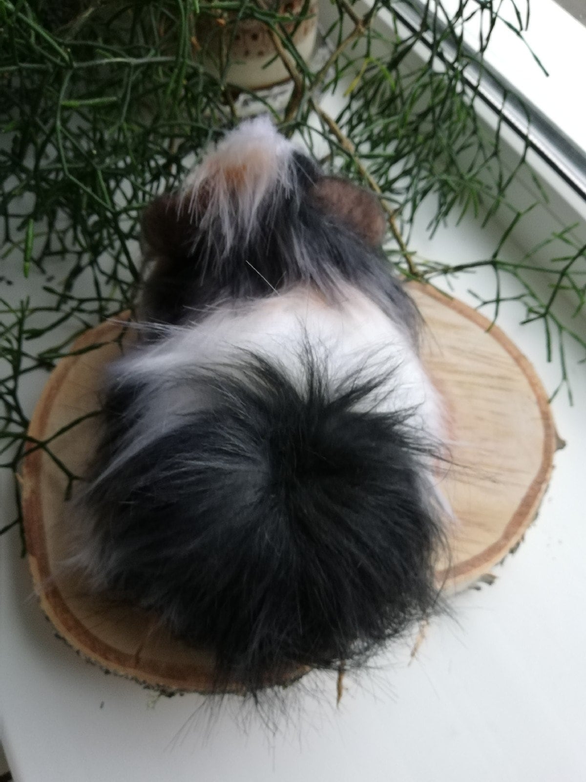 Realistic soft toy the guinea pig for order stuffed Etsy
