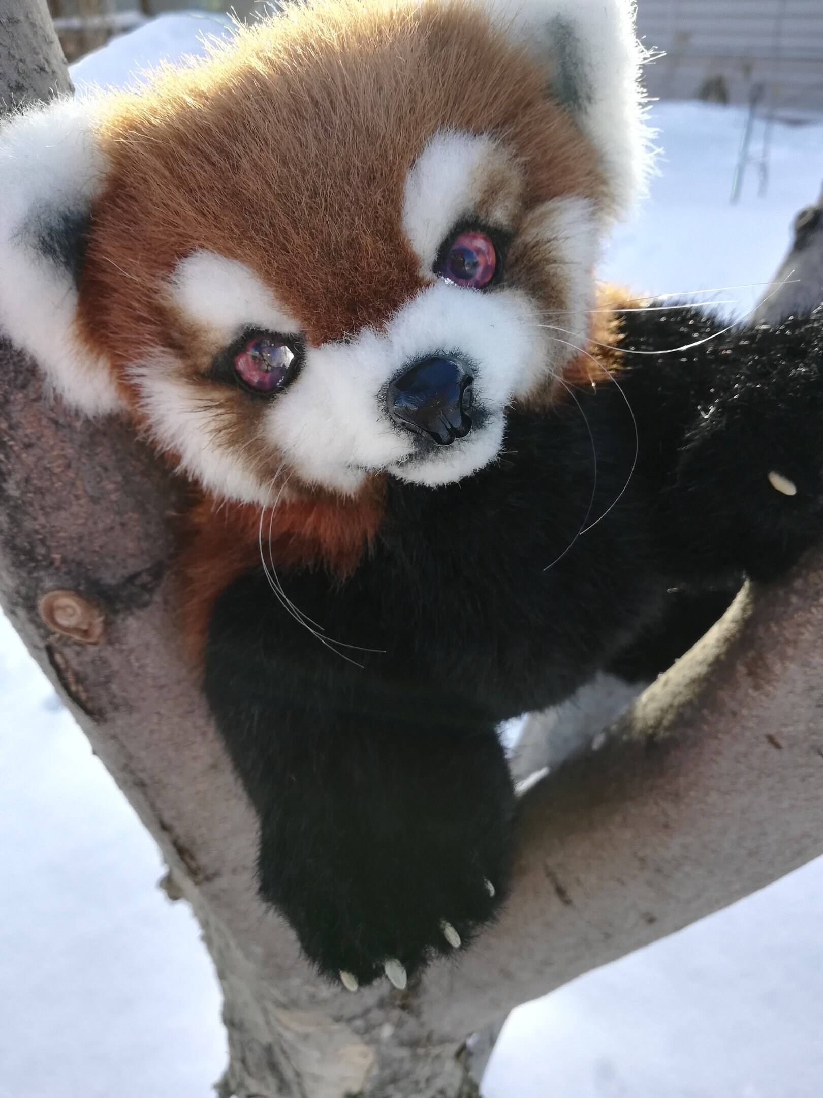 realistic red panda stuffed animal