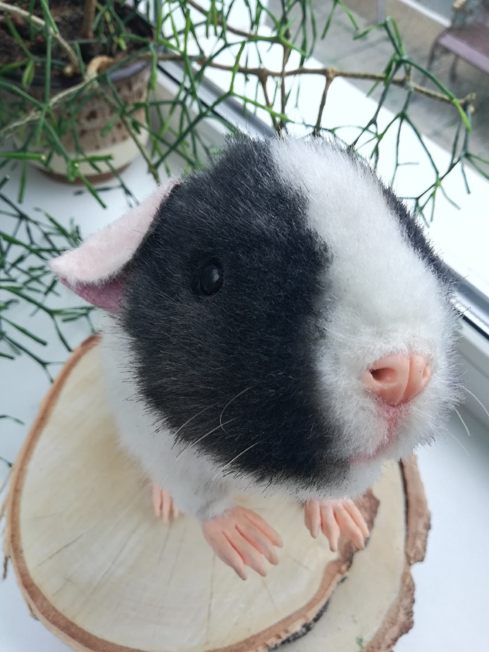 Realistic soft toy the guinea pig for order stuffed Etsy