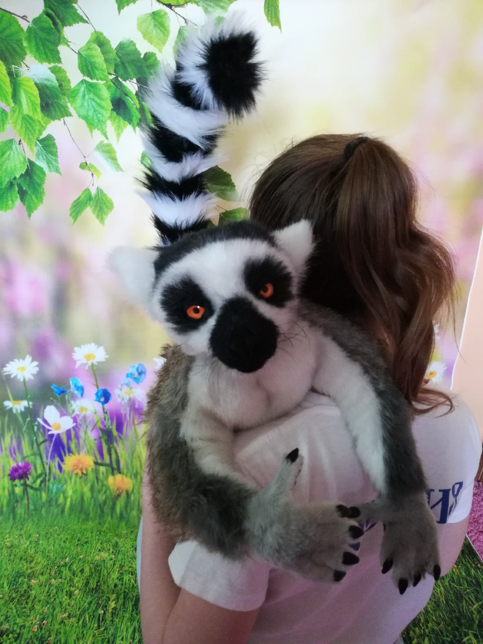 Realistic Soft & Plush Toy Stuffed the Ringtailed Lemur Etsy