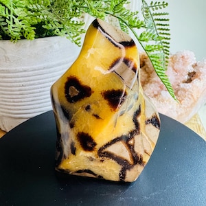 Septarian Crystal Flame