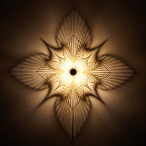 LED wall lamp OP Art #2 - wooden lampshade - shadow light - silhouette fractal