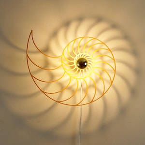 Lampa Nautilus Shadow - klosz z drewna - kinkiet o cudownej spirali - gra świateł ściennych