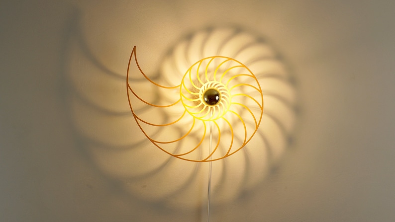 Lampe dombre Nautilus abat-jour en bois lampe murale merveilleuse spirale jeu de lumière murale image 1