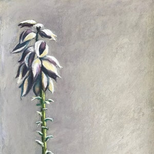 Yucca Blüte - Pastellmalerei