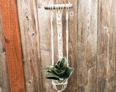 Wall plant hanger
