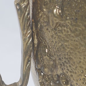 May include: A brass pitcher with a detailed design featuring a textured surface and a handle with a twisted design.