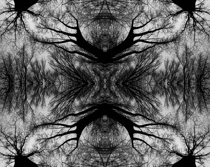 A piece of forest II 2024
