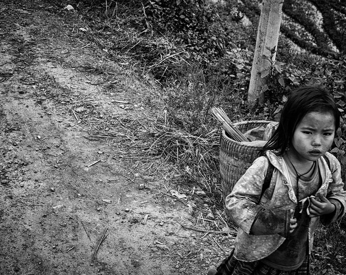 Girls in Vietnam, 2011