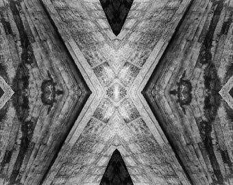 Le Corbusier-Rorschach