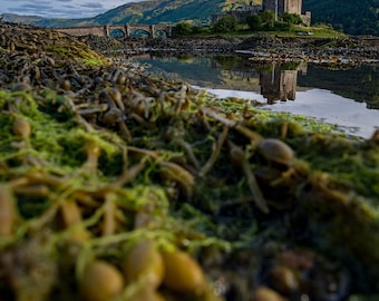 Eilean Donan Castle