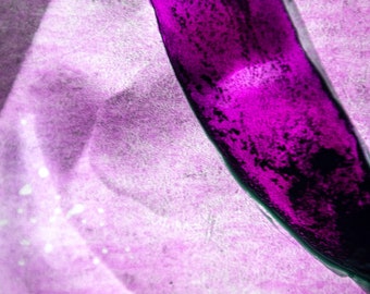 Dscf0137