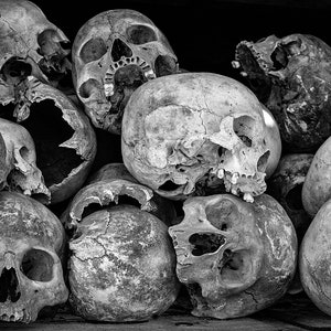 Puede incluir: Una pila de cráneos humanos, algunos con mandíbulas faltantes, en blanco y negro.