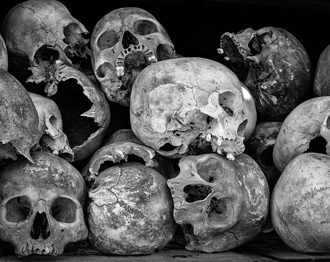 Heads of the Killing Fields, Cambodia 2011
