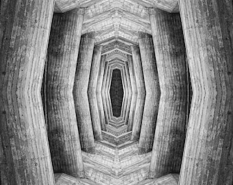 Le Corbusier-Rorschach