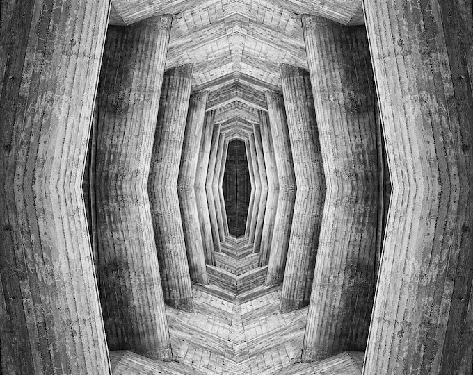 Le Corbusier-Rorschach