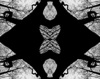 A piece of forest I, 2024