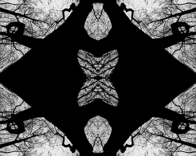 A piece of forest I, 2024