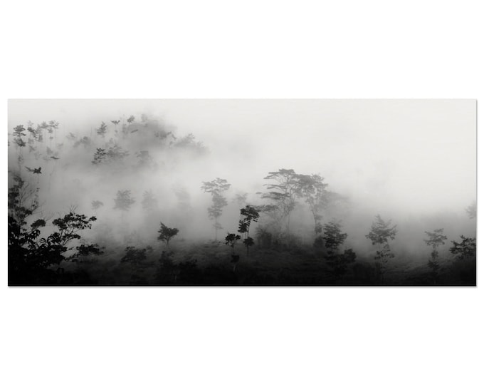 Trees in the Mist Poster | West Papua 2014 Art Print | Museum Quality Matte Paper | 8x20" / 20 x 50 cm