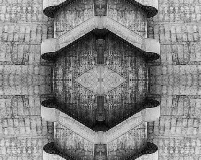 Le Corbusier-Rorschach