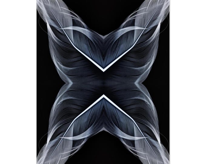 Feathers-Rorschach 2025