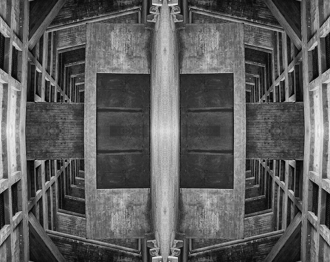 Le Corbusier-Rorschach