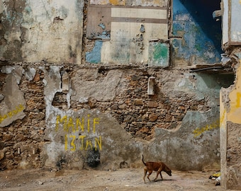Dog Life, Cape Verde 2018