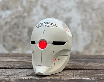 Gray Fox Helmet: (wearable with LEDs)