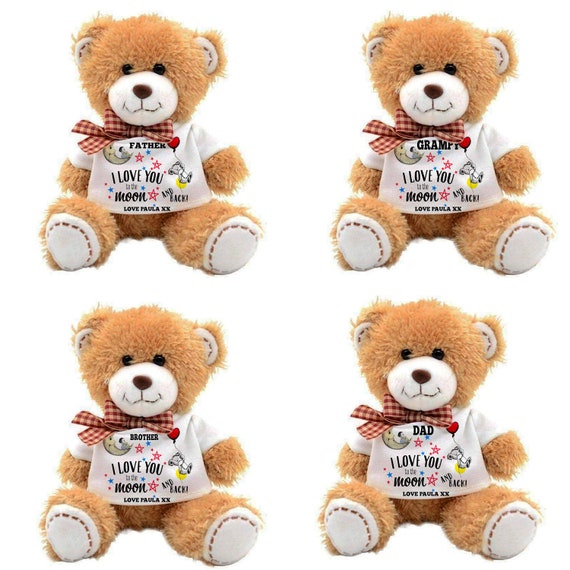 i love you to the moon and back teddy bear