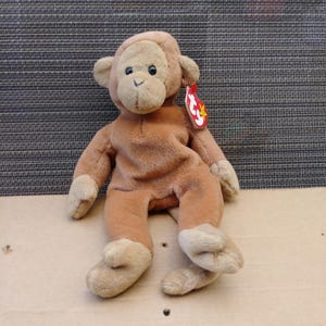 Bongo Beanie Baby rare
