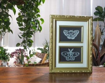 Moth Framed Wall Art , Home Décor, Framed Original Artwork