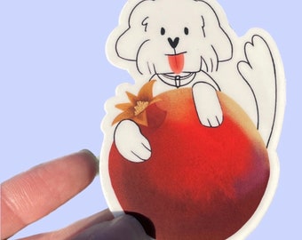 CoCo the white Small Poodle  and Pomegranate: Adorable Vinyl Sticker Delight for Dog Lovers