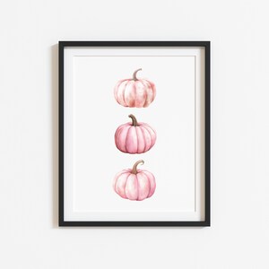 K&ouml;nnte beinhalten: Gerahmter Kunstdruck mit drei rosa Aquarellk&uuml;rbissen. Jeder K&uuml;rbis hat eine strukturierte Oberfl&auml;che und einen gebogenen Stiel. Die K&uuml;rbisse sind vertikal vor einem wei&szlig;en Hintergrund in einem schwarzen Rahmen angeordnet.