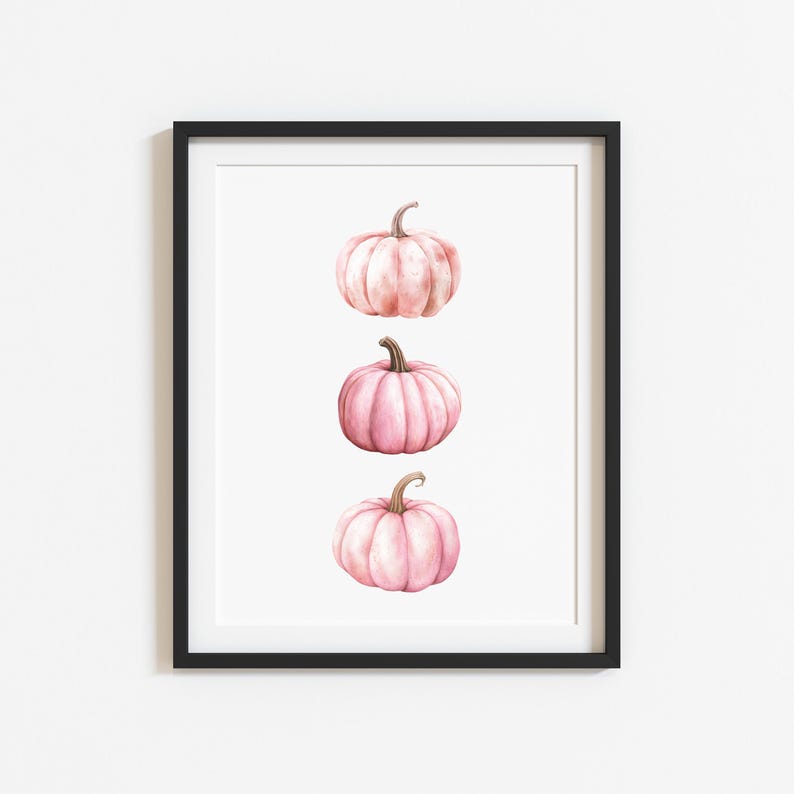 K&ouml;nnte beinhalten: Gerahmter Kunstdruck mit drei rosa Aquarellk&uuml;rbissen. Jeder K&uuml;rbis hat eine strukturierte Oberfl&auml;che und einen gebogenen Stiel. Die K&uuml;rbisse sind vertikal vor einem wei&szlig;en Hintergrund in einem schwarzen Rahmen angeordnet.
