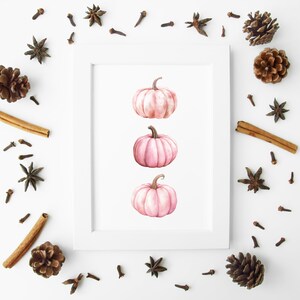 K&ouml;nnte beinhalten: Ein gerahmter Aquarelldruck mit drei rosa K&uuml;rbissen. Die K&uuml;rbisse sind vertikal im Rahmen angeordnet. Das Bild ist von dekorativen Elementen umgeben, darunter Sternanis, Nelken, Zimtstangen und Tannenzapfen, die ein Herbstthema schaffen.