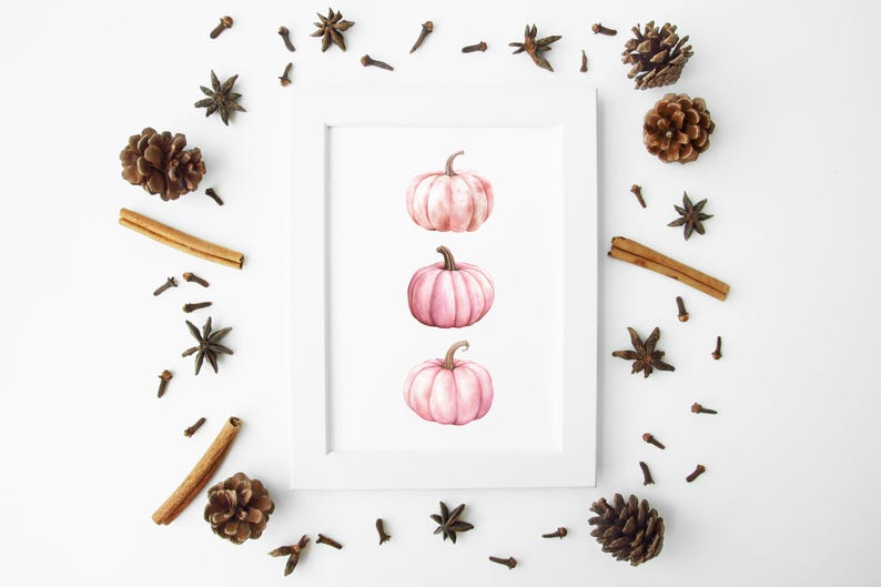 K&ouml;nnte beinhalten: Ein gerahmter Aquarelldruck mit drei rosa K&uuml;rbissen. Die K&uuml;rbisse sind vertikal im Rahmen angeordnet. Das Bild ist von dekorativen Elementen umgeben, darunter Sternanis, Nelken, Zimtstangen und Tannenzapfen, die ein Herbstthema schaffen.