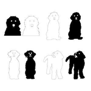 Labradoodle (cobberdog) - 4 disegni SVG di silhouette per cani