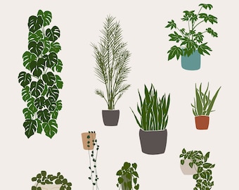 Plants Clipart, House Plants, Gardening Clipart, Indoor Plant Clipart, Plant Illustration, Monstera PNG, Tropical Leaf, Botanical Clipart