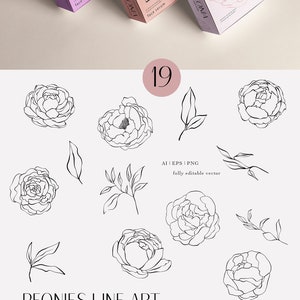 May include: A set of 19 line art illustrations of peonies and leaves. The illustrations are black and white and are fully editable vectors. The text "PEONIES LINE ART" is at the bottom of the image. The text "Backyard Rose by Subi" is at the bottom of the image.