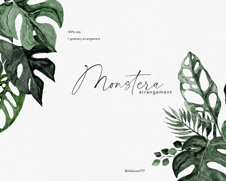 May include: Watercolour illustration of a Monstera plant arrangement with green leaves on a white background. The text "Monstera arrangement" is written in black cursive.