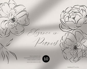Peonies Line Art, Peonies Clipart, Fine Art Flowers, Floral Line Art, Hand Drawn Clipart, Peonies PNG, Wedding Flowers PNG, Leaf Line art