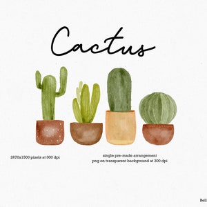 Clipart de cactus, Clipart de plantes succulentes, Pots de cactus, Pots de plantes en terre cuite, Plantes d’intérieur, Plantes en pot, Cactus aquarelle, Clipart d’aquarelle