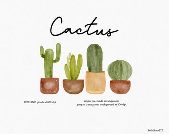 Cactus Clipart, Succulents Clipart, Cactus Pots, Terracotta Plant Pots, Indoor Plants, Potted Plants, Watercolor Cactus, Watercolor Clipart